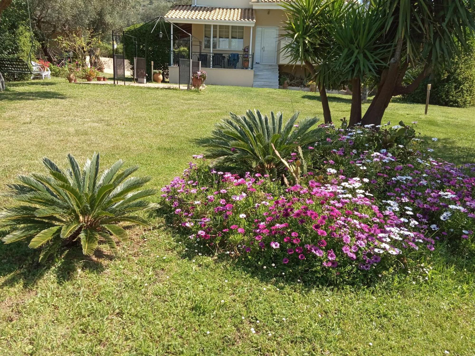 Sunny Garden Villa Plataria Quarto foto